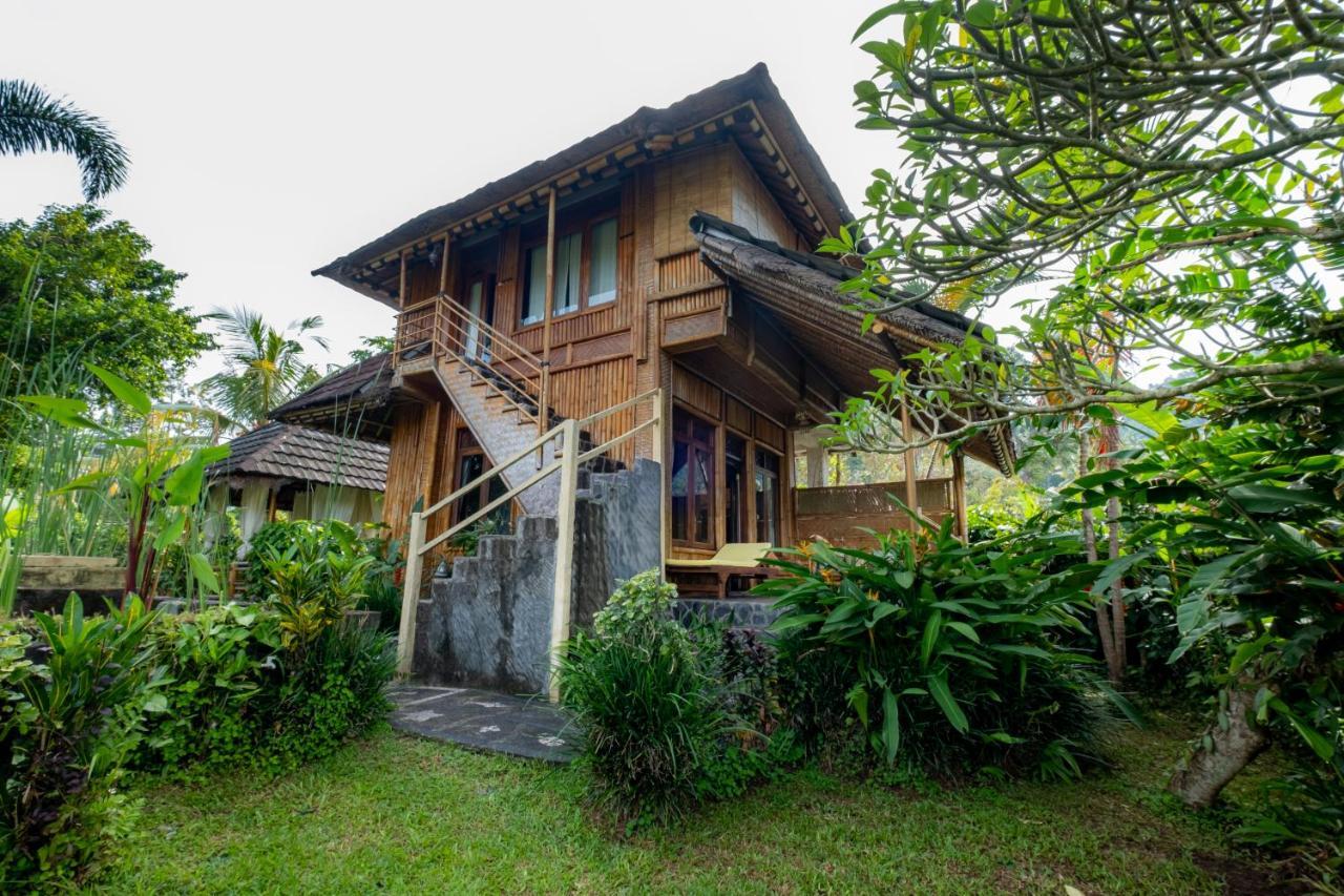 Villa Manuk Сингараджа Экстерьер фото